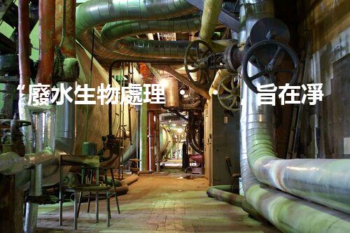 “廢水生物處理，旨在凈化水源，守護(hù)碧水藍(lán)天”